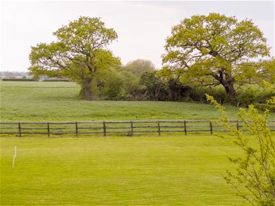 Picture 32